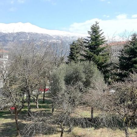 Gks Park View Ioannina Exterior foto